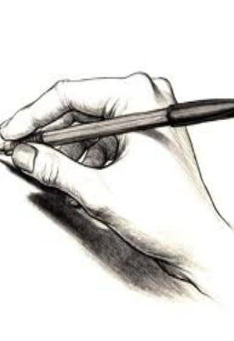 آقای نویسنده تازه کار است